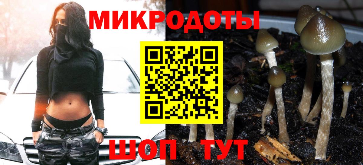 Псилоцибиновые грибы Magic Shrooms Гуково