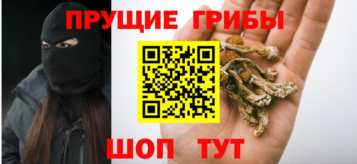 Псилоцибиновые грибы GOLDEN TEACHER  Вход с VPN  Гуково 